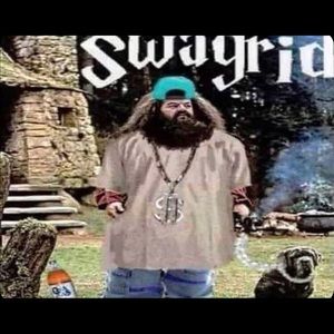 Meet your Posher, Bo